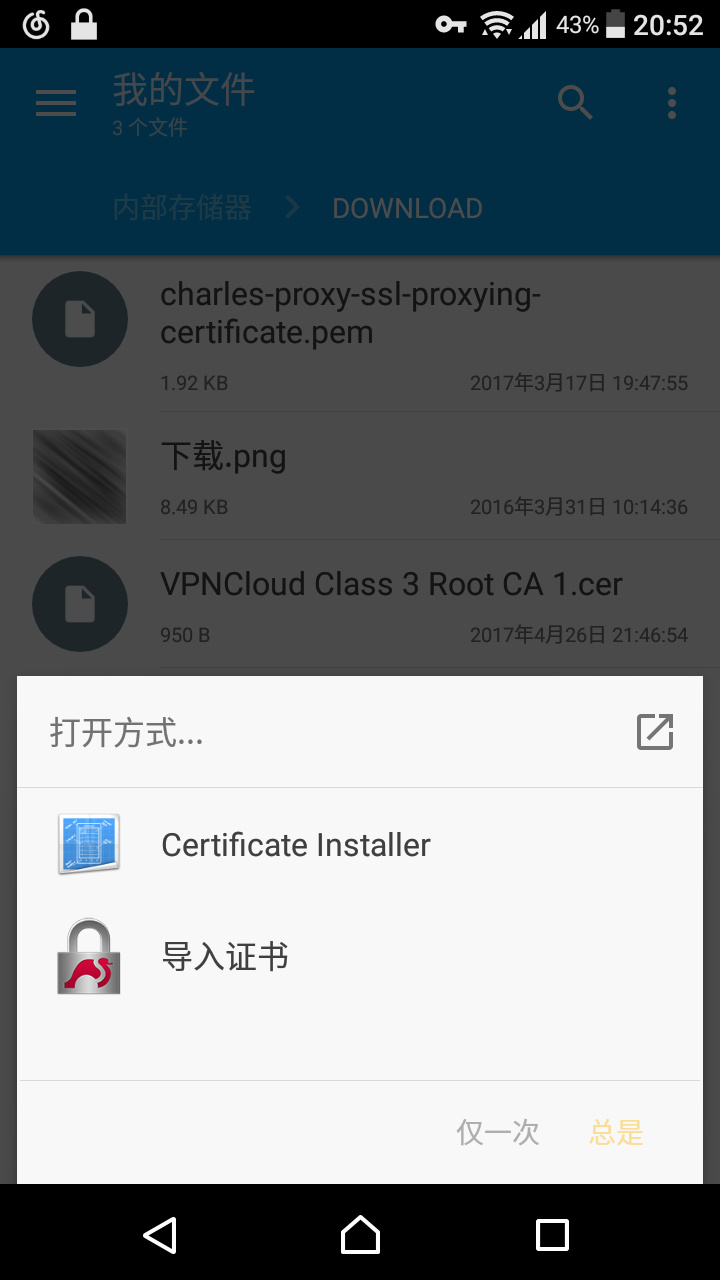 导入到 strongSwan