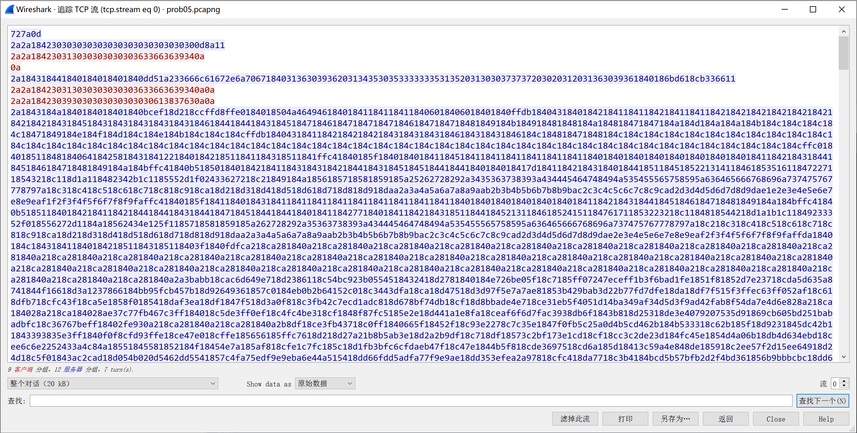 wireshark